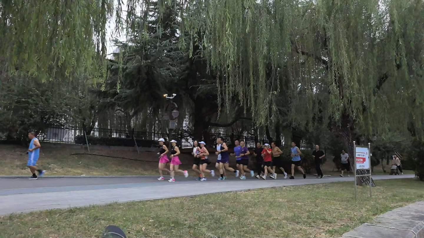 滕州梁師傅公園晨跑隊(duì)2.jpg