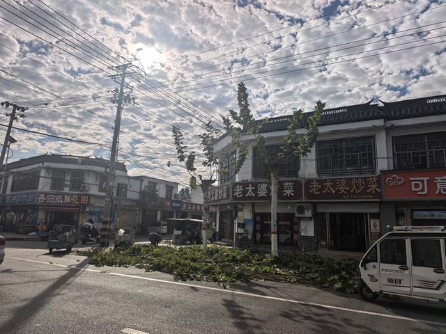微信圖片_20261024115232_116_43.jpg
