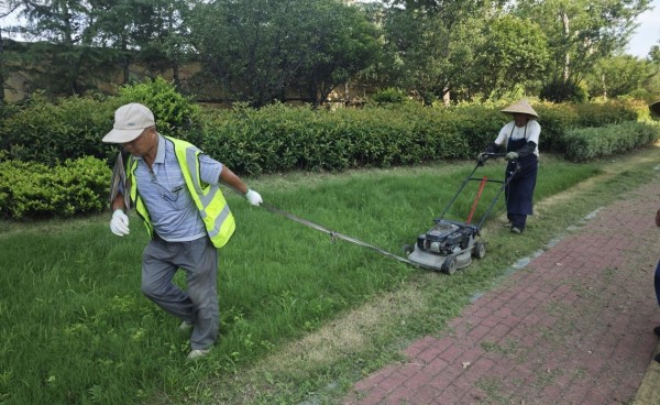 pic003.jpg