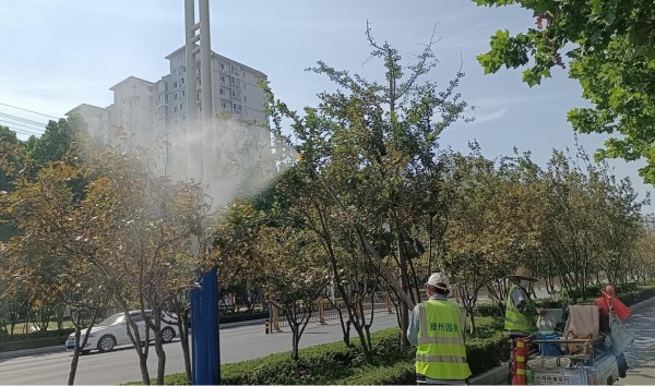 pic007.jpg