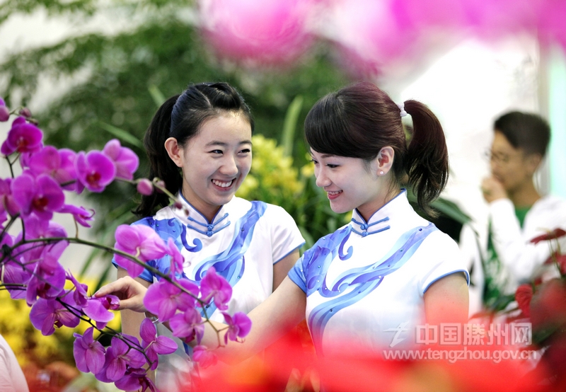 【新華社通稿圖片】?jī)擅倥诘谖鍖蒙綎|省花卉博覽會(huì)展覽館內(nèi)觀賞花卉