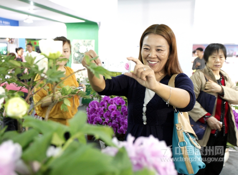 【新華社通稿圖片】第五屆山東省花卉博覽會(huì)展覽館內(nèi)，一位市民正在拍攝盛開(kāi)的牡丹花