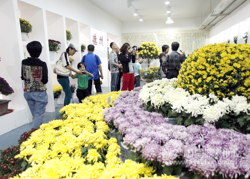 【新華社通稿圖片】市民正在鮮花盛開(kāi)的展覽館內(nèi)賞花