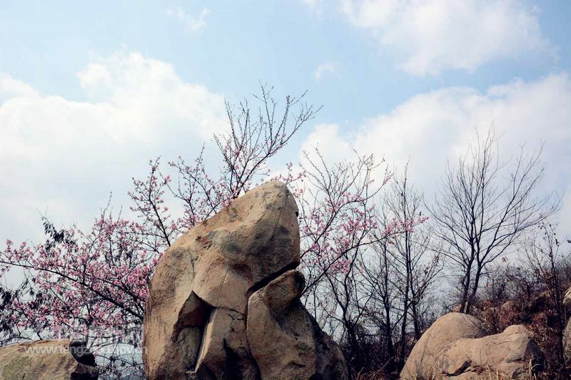 龍山四季各不同