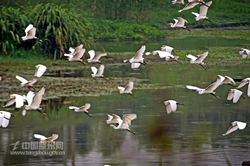上善公園洪緒段壩