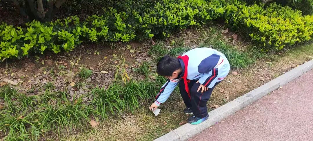 簡篇-紅領巾志愿行 ?至善學校小學部少先隊員勞動實踐活動