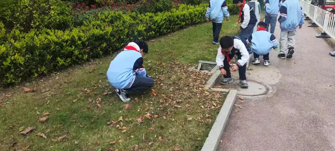簡篇-紅領巾志愿行 ?至善學校小學部少先隊員勞動實踐活動